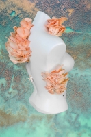 https://mail.rebeccajnorton.com/files/gimgs/th-76_pink lady 2.jpg